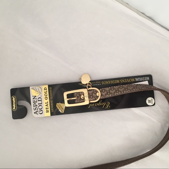 Aspen Gold Dog Collar Brown - Picture 4 of 6